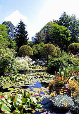 Hidcote Manor - Pondlife